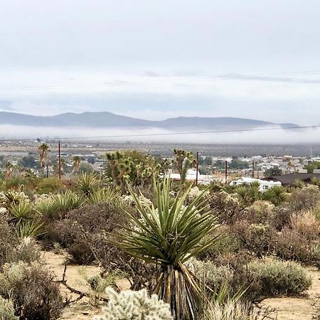 Cozy Desert Retreat With Amazing Views Only 4 Miles To Jtnp Джошуа Три Екстериор снимка