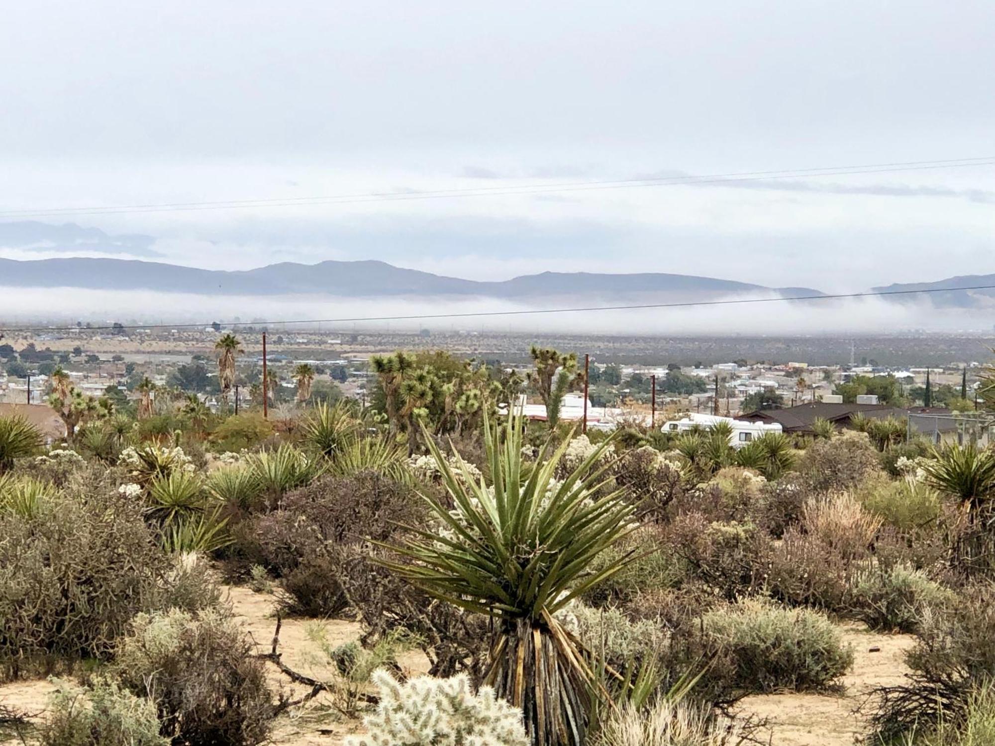 Cozy Desert Retreat With Amazing Views Only 4 Miles To Jtnp Джошуа Три Екстериор снимка